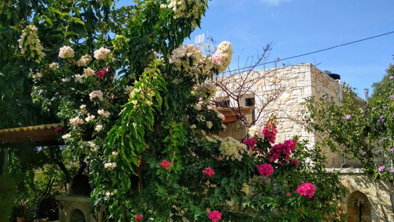 Villa Vera Sívota Dış mekan fotoğraf
